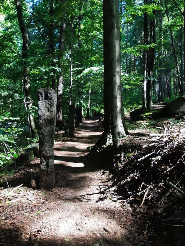Mountain hiking trail near Liberec